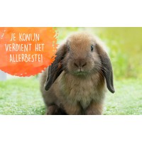 Bescherm je konijn tegen myxomatose, RHD1 en RHD2, want je konijn verdient het allerbeste!