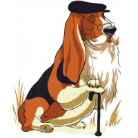 Kom met uw hond naar het Seniorconsult.