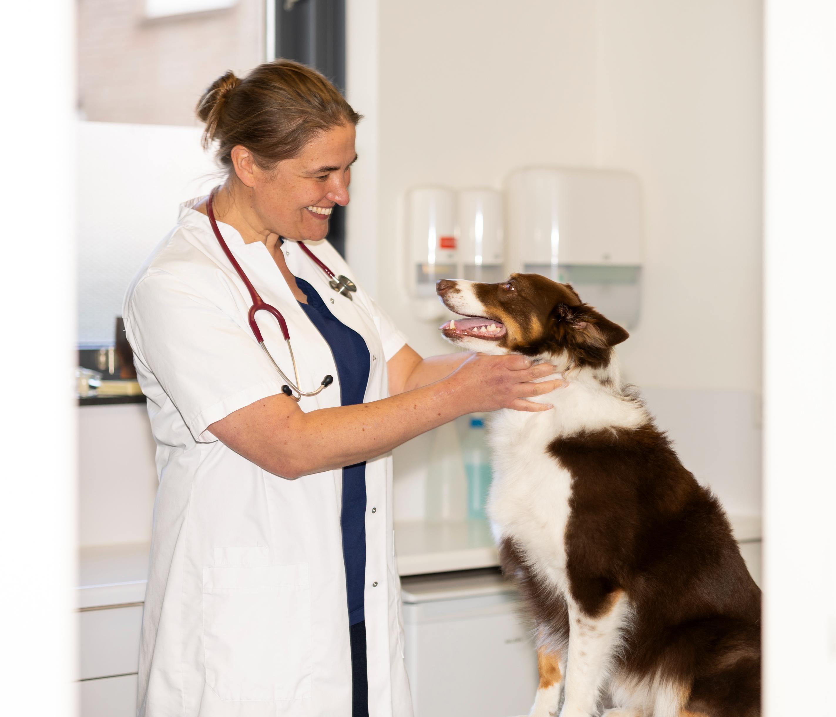 Hond Diagnose